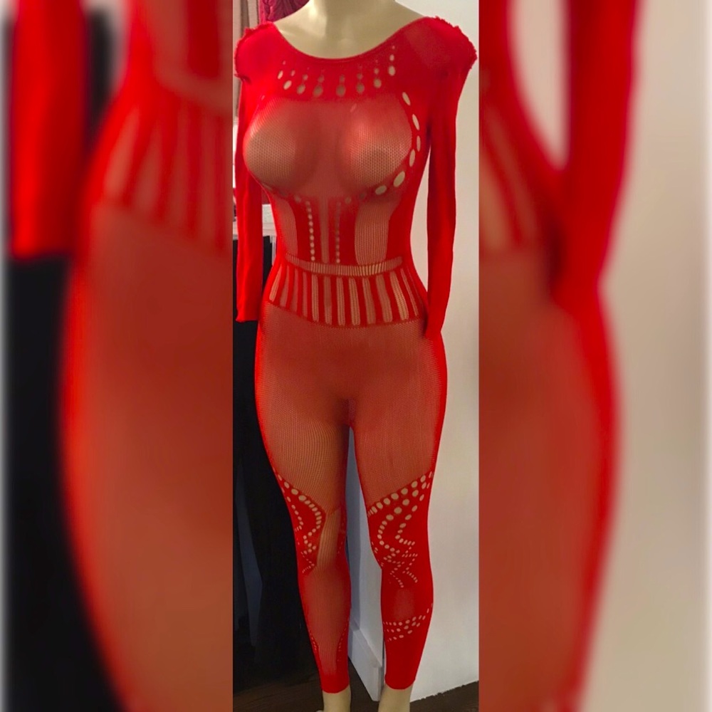 NWOT(Doesn’t come with tags)SEXY RED SEE THROUGH ALL IN ONE/ NEVER WORN SIZE: OS